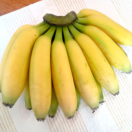 追熟済の万助バナナ